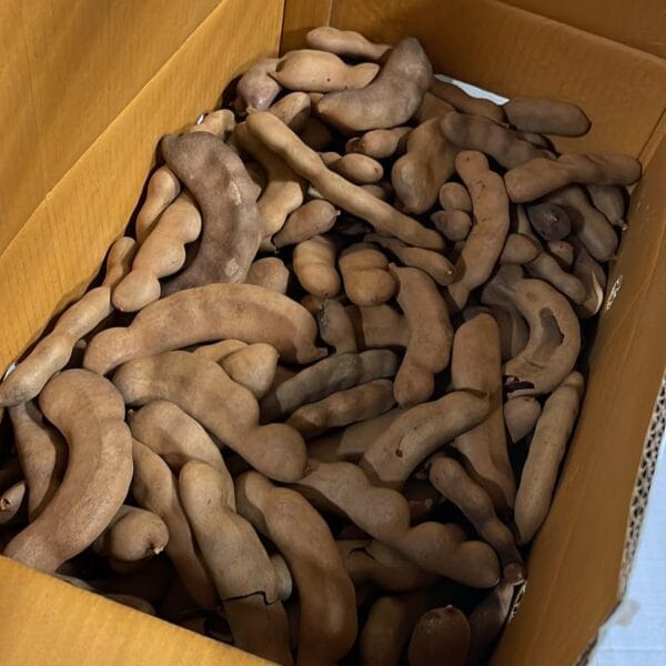 Tamarindo Thailandes